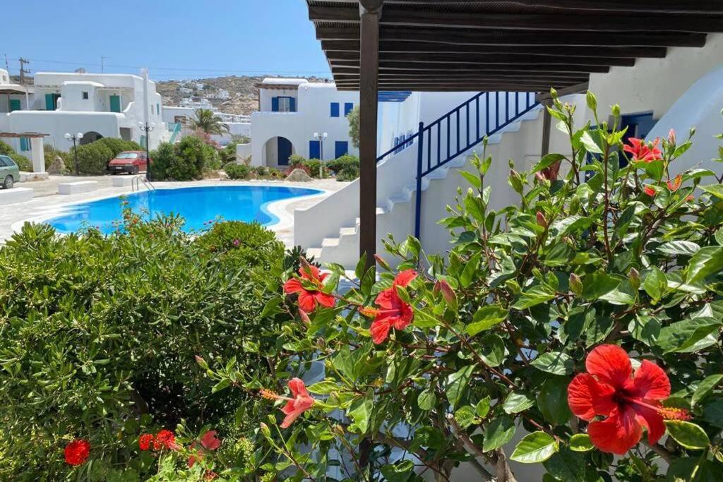 Pigeon House Ornos Beach Mykonos Town المظهر الخارجي الصورة